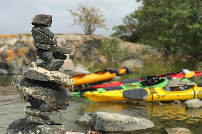1-Day Small-Group Stockholm Archipelago Kayak Tour - Wildlife spotting: sea eagles, cormorants, geese, and birdsong