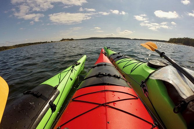 1-Day Small-Group Stockholm Archipelago Kayak Tour - Plant walk moments: what to notice when you step ashore