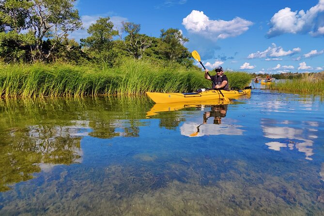1-Day Small-Group Stockholm Archipelago Kayak Tour - Guides and group vibe: small team energy, real coaching
