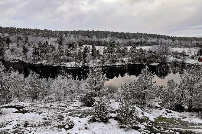 1-Day Small-Group Stockholm Nature Hiking - A Small-Group Escape From Stockholm, Without the Tour-Churn