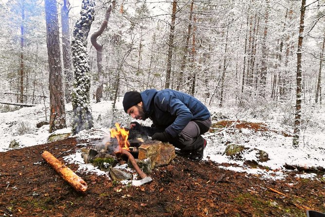 1-Day Small-Group Stockholm Nature Hiking - The Core Plan: Guided Hiking in a National Park