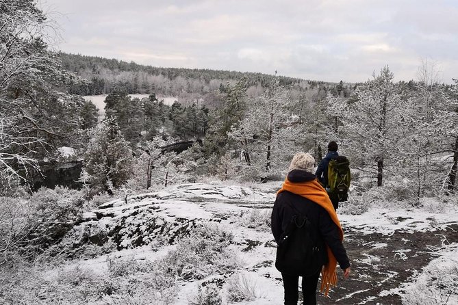 1-Day Small-Group Stockholm Nature Hiking - Logistics That Matter: Weather Rules, Start Time, and How to Prepare