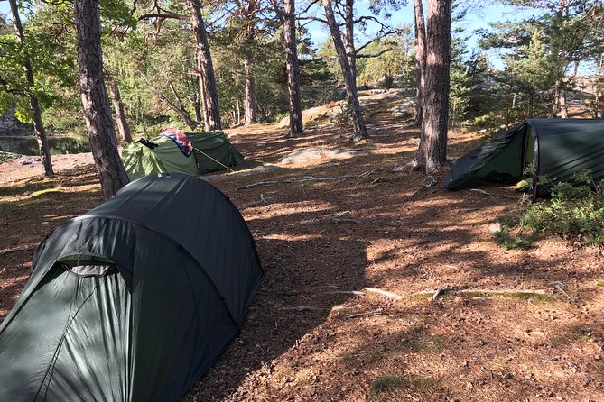 2-Day Small-Group Stockholm Hiking Tours - Day 1: Johanneshov pickup, a gear check, then into the woods near Gnesta