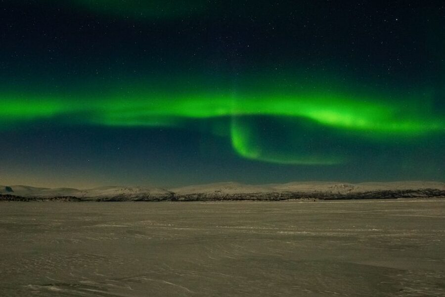 Abisko: Aurora Snowshoeing - The birch forest game plan: tracks, not just trees