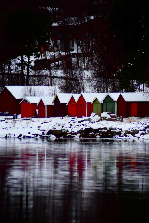 Abisko: Fjord Sightseeing and Photography Tour - Lunch in Narvik or Bjerkvik, and what kind of break this is