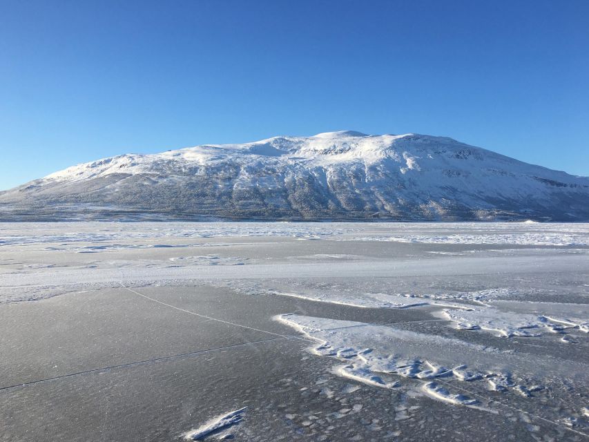Abisko: Lake Torneträsk Arctic Ice Fishing Trip - Arctic Ice Fishing in Abisko: The Arctic Char Experience That Actually Teaches