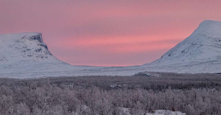 Abisko National Park: Scenic Morning Hike with Transfer - What the guide actually does on the walk