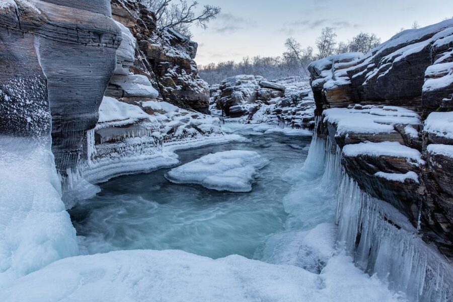 Abisko National Park: Scenic Morning Hike with Transfer - Price and value: what $88 buys you in Abisko time
