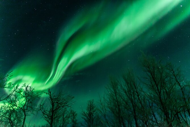 Abisko Northern Lights Tour with Photographer - Chasing the Aurora: Abisko to Clear-Sky Driving Routes
