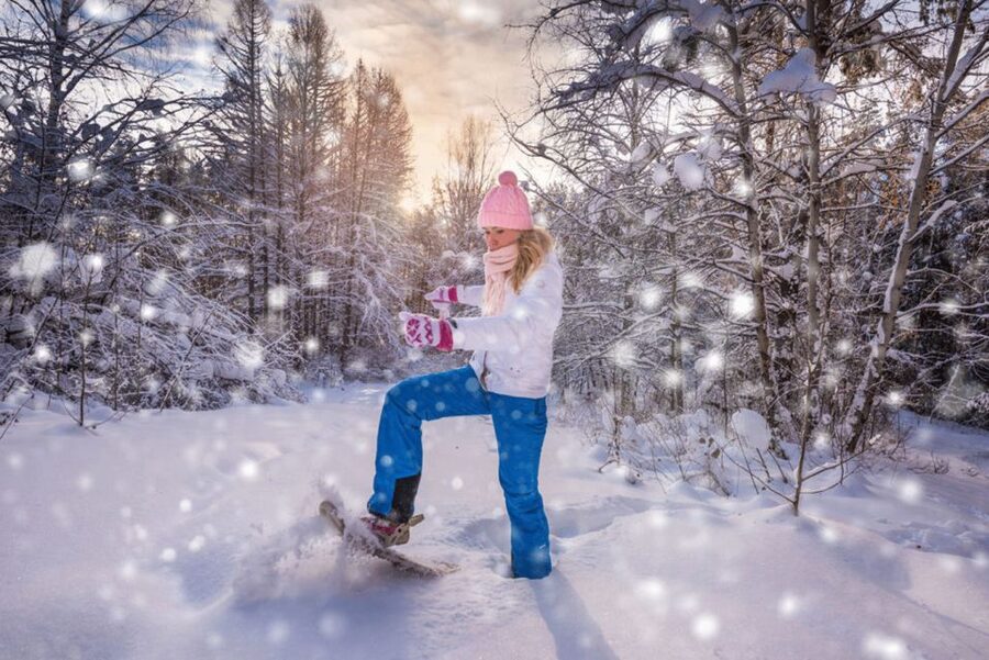 Abisko: Wilderness Snowshoe Hike - What your 2-hour snowshoe hike in Abisko is really like