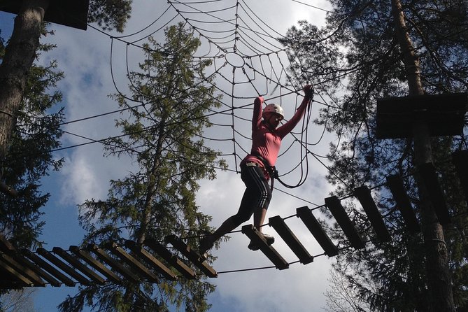 Adventure parc - Course highlights: suspension bridges, spider webs, and zip lines