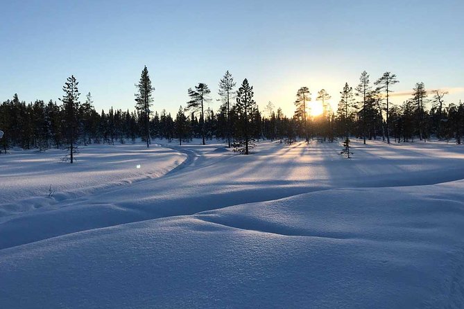 Afternoon Snowmobile Tour - Meeting in Kiruna: where your afternoon starts