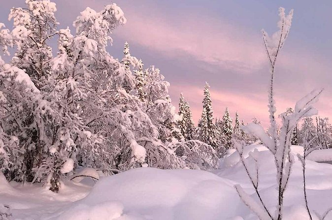 Afternoon Snowmobile Tour - Before you ride: snowmobile functions and a safety reality check