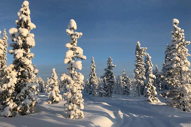 Afternoon Snowmobile Tour - Your ride setup: driving, partners, and odd numbers