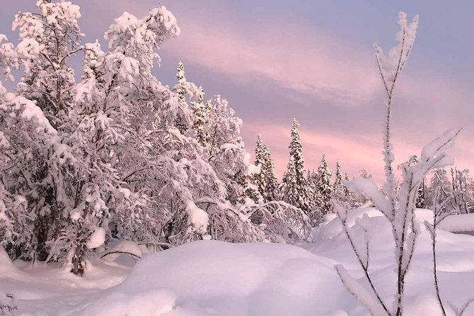 Afternoon Snowmobile Tour - Afternoon timing and the aurora possibility