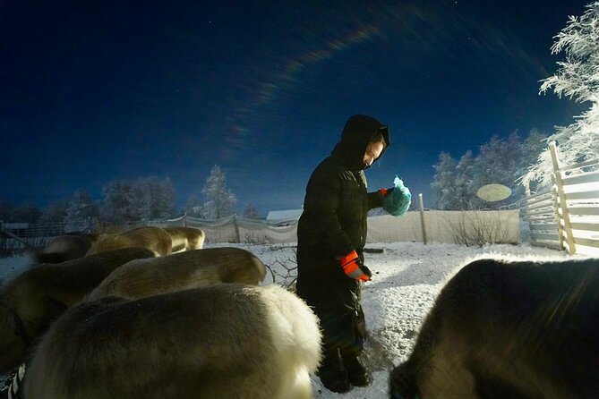 Arctic Adventure with Reindeer and Northern Lights Hunt 18:30 pm - Logistics that matter: pickup, mobile tickets, and group size