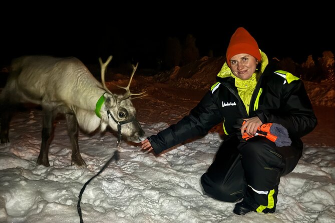 Arctic Adventure with Reindeer and Northern Lights Hunt 18:30 pm - The Sámi village time: culture you can ask questions about