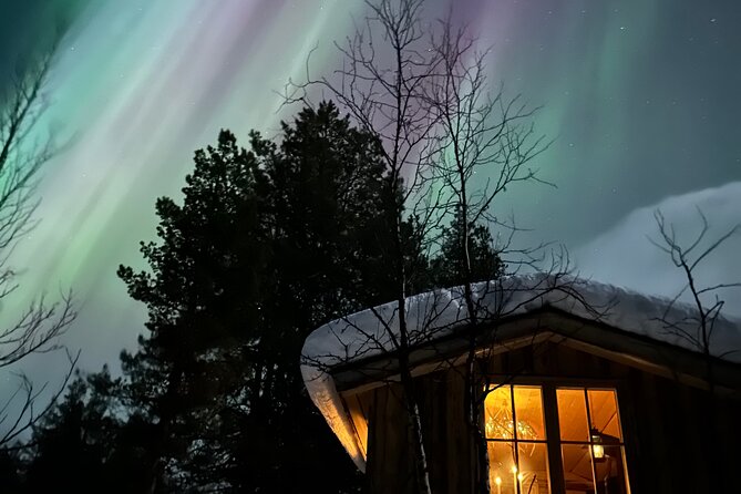 Aurora Hunting with Reindeer Caravan - Aurora Road and Wilderness Timing: How the Trip Sets Up the Night Sky