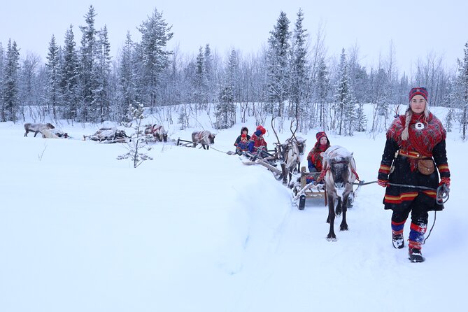 Aurora Hunting with Reindeer Caravan - Price and Value: What $321 Gets You in the Far North