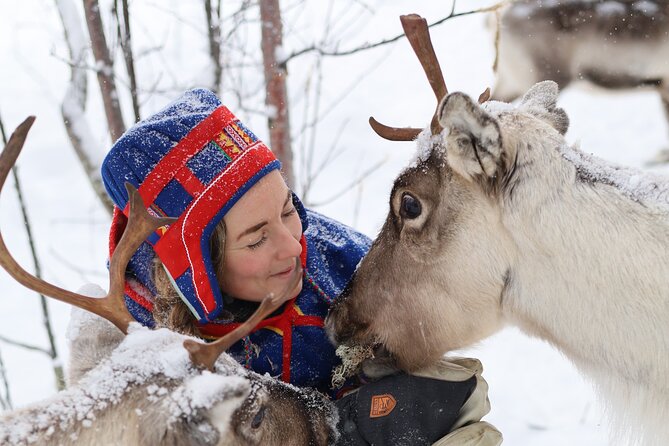 Aurora Hunting with Reindeer Caravan - The Sled Ride on Snow: What You Hear When the City Drops Away