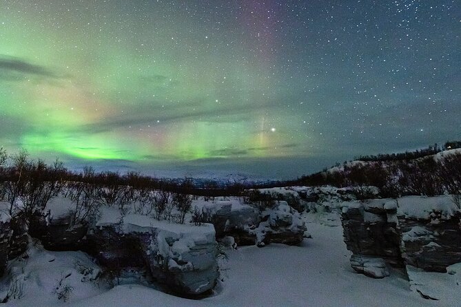 Aurora Tour with Dinner in Abisko - Key Points to Know Before You Go