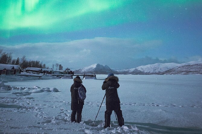Aurora Tour with Dinner in Abisko - Photo Help for Aurora Chasing: Headlamp, Tripod, and a Real Plan