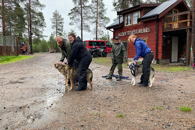 Autumn Husky Sit and Drive Cart Tour from Kiruna - Key highlights you should care about