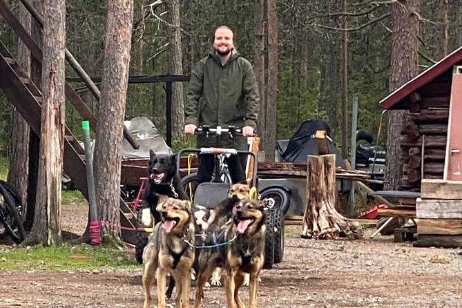 Autumn Husky Sit and Drive Cart Tour from Kiruna - The sit and drive lesson: harnessing, steering, and switching turns