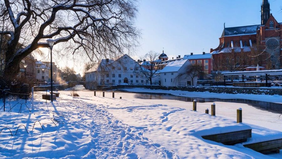 Best of Uppsala: Private Walking Tour with a Local - Gustavianum and Museum Decisions: When Your Interests Drive the Stops