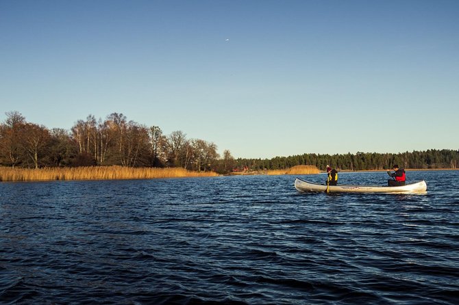 Canoe adventure in Stockholm Archipelago - Wildlife spotting: beavers and coastal birds in real time