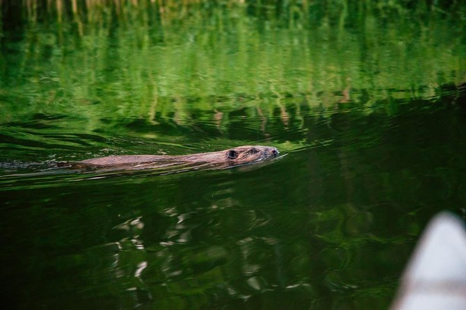 Canoe adventure in Stockholm Archipelago - Transportation and comfort: the air-conditioned plus