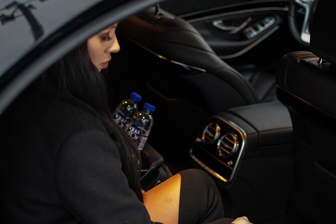 Cruise port VIP Transfer: Cruise port to Stockholm city center 1-6 Passangers - Who This Works Best For