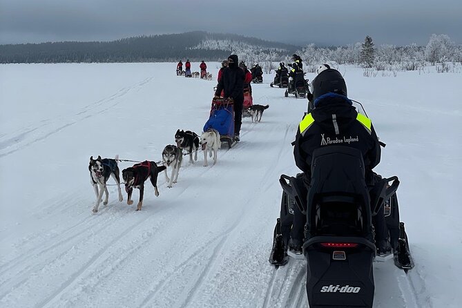 Day tour with snowmobile in Kiruna 10:30 am - The Jukkasjärvi ride: forests, frozen water, and wildlife chances