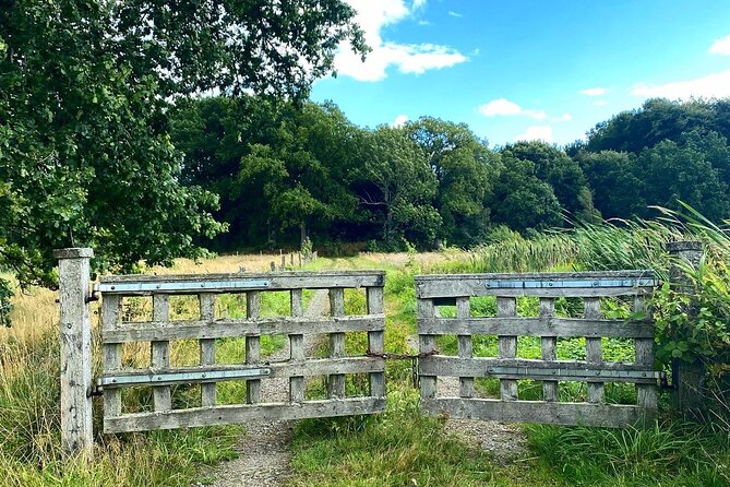 Daytrip Bike Tour on the Swedish Countryside Private - How the countryside ride feels with provided bikes and helmets