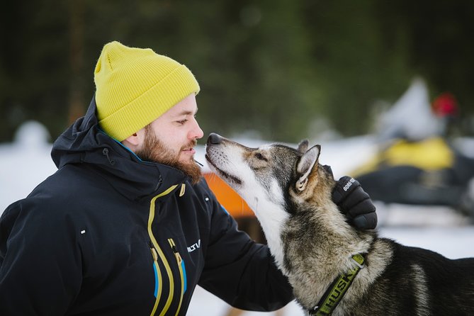 Dogsled Adventure Kiruna - The Break in the Lavvu or Tipi: Where the Trip Gets Cozy