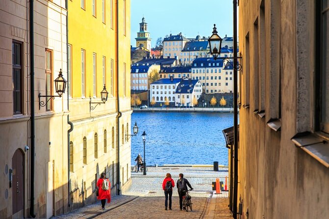 Drottningholm Palace Private Guided Tour - Guides, drivers, and the value of real answers