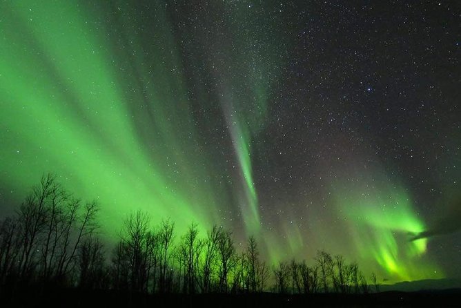 Enjoy the Aurora show on top of the mountain inc tipi dinner - Price and logistics: is $338.80 worth it?