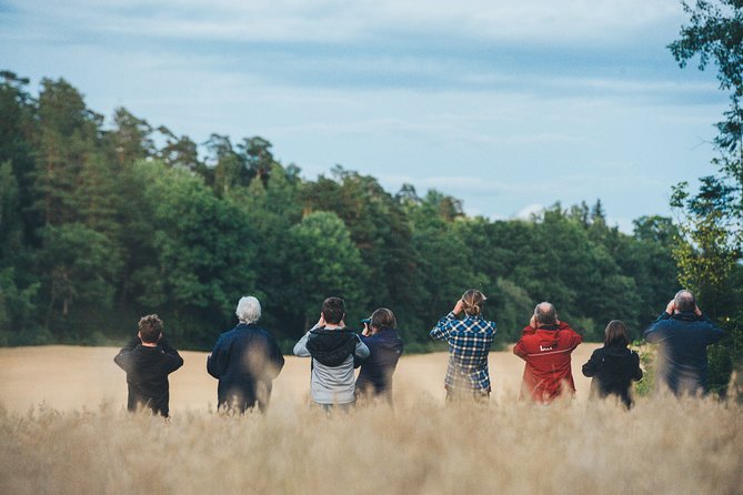 Evening Wildlife Safari Stockholm - Key things to know before you go