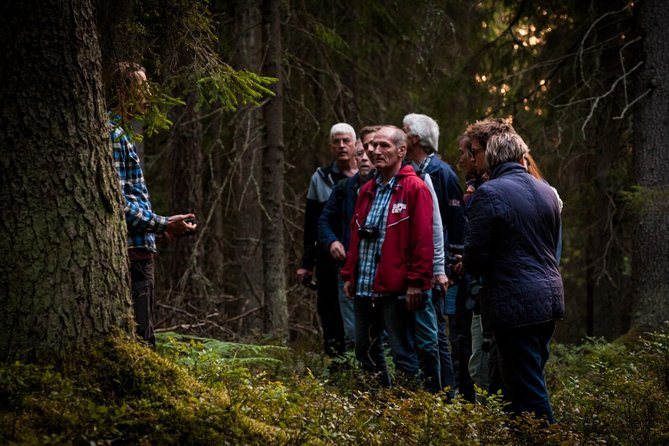 Evening Wildlife Safari Stockholm - Food, fika, and warm gear: cozy outside, practical inside