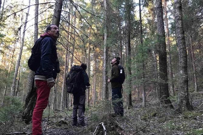 Evening Wildlife Safari with Campfire Dinner from Stockholm - The bonfire dinner: warm food, real atmosphere, and fire-making moments
