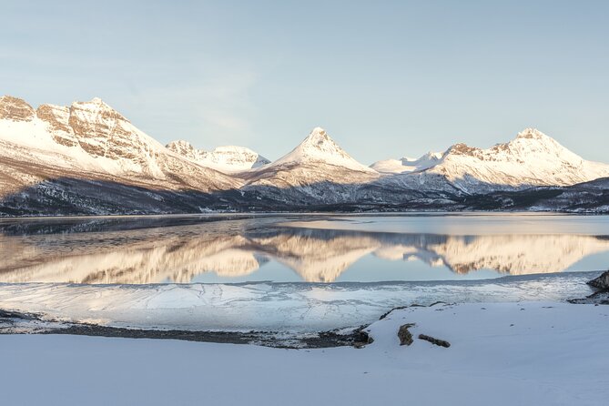 Explore the Norwegian Fjords and the Wildlife From Abisko - Key highlights worth planning around