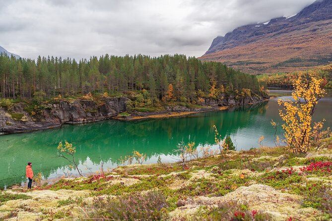 Explore the Norwegian Fjords and the Wildlife From Abisko - Wildlife and Cetaceans You Can Aim For From the Shore