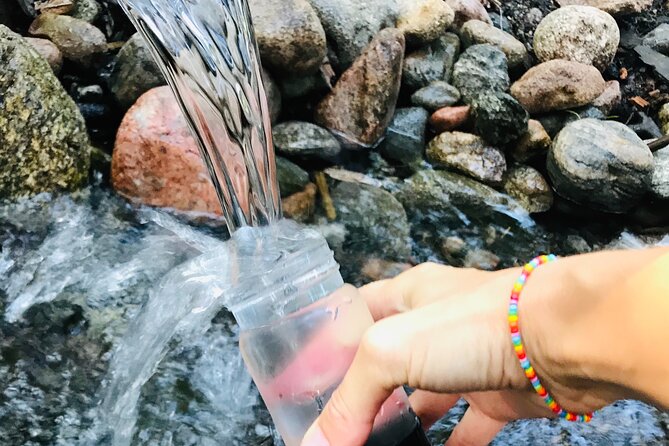 Forestbathing Slow Walking and Healing Spring Water, Stockholm - Key Highlights to Look For