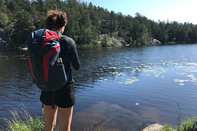 Forestbathing Slow Walking and Healing Spring Water, Stockholm - A Pine-Forest Reset Near Stockholm: Nackareservatet Sets the Tone