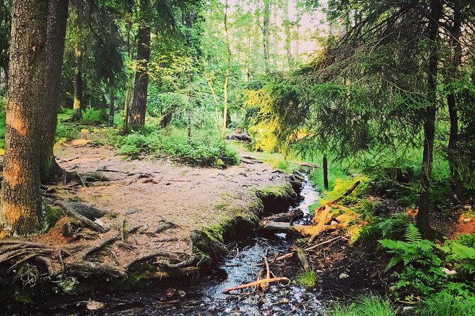 Forestbathing Slow Walking and Healing Spring Water, Stockholm - Getting There: Klarabergsviadukten and a White Prius
