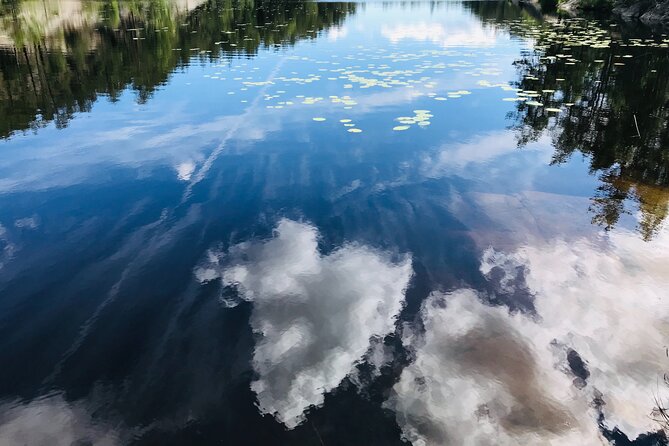 Forestbathing Slow Walking and Healing Spring Water, Stockholm - Guided Meditation to Deepen Grounding (Without Overdoing It)