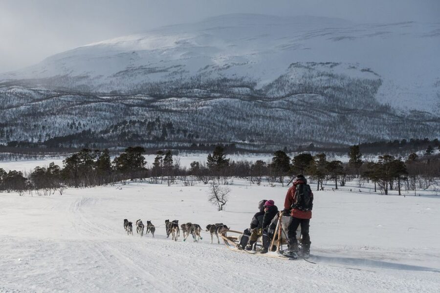From Abisko: Dog Sledding Excursion to Kiruna with Fika - From Abisko to Kiruna: the long coach transfer that matters