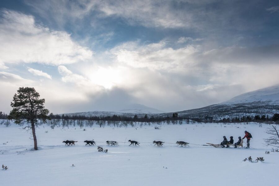 From Abisko: Dog Sledding Excursion to Kiruna with Fika - Meeting the dogs and getting winter-ready fast