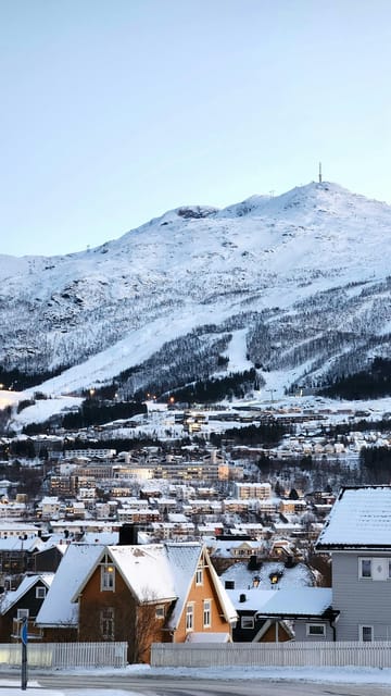 From Kiruna: Narvik City and Fjord Day Trip - Sweden Side Highlights: Abisko Views and Lake Torneträsk