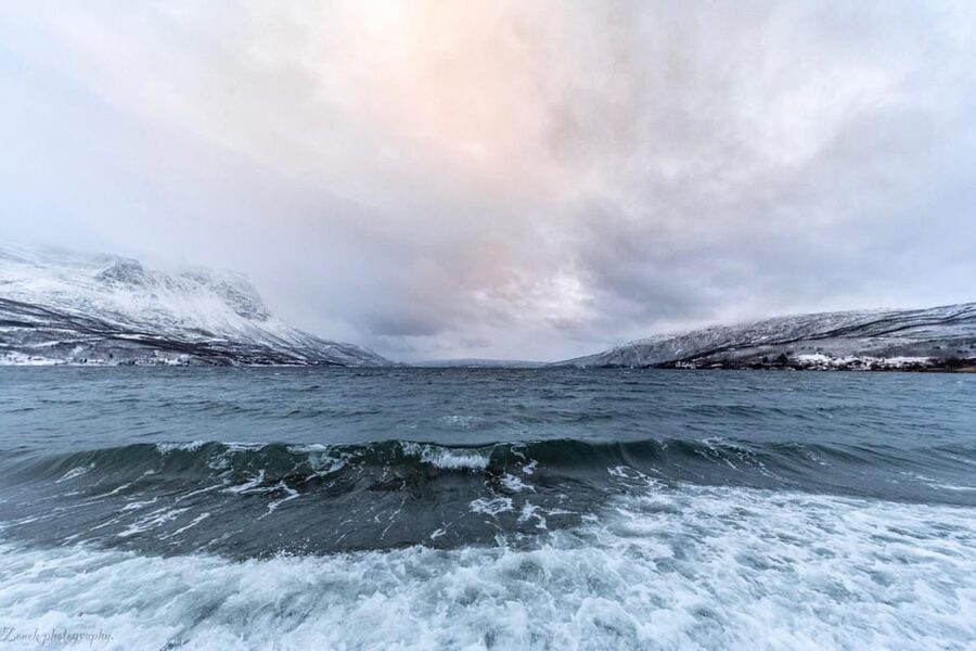 From Kiruna: Narvik City and Fjord Day Trip - Lunch and Free Time: A Small Cost, Simple Planning
